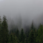 Valle Nuevo registra temperatura mínima de 7 °C y amanece cubierto por densa niebla