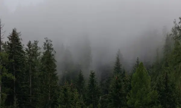 Valle Nuevo-Nieblas