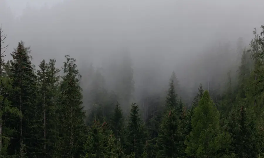 Valle Nuevo-Nieblas