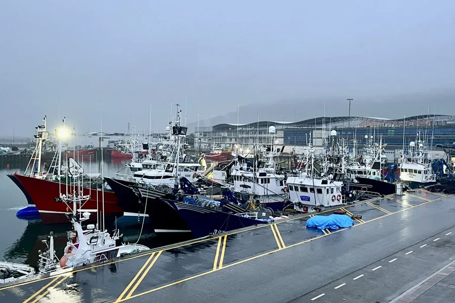La guerra en Oriente Medio bloquea la pesca y el comercio del atún en los puertos clave