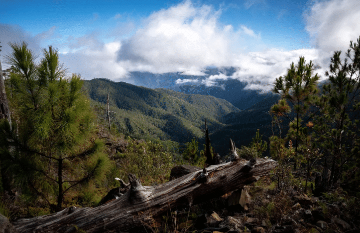 Para evitar explotación minera ven bien se blinde más la Cordillera Central
