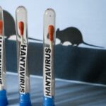 Hantavirus: 10 británicos en cuarentena  tras contacto con pasajeros del crucero Hondius