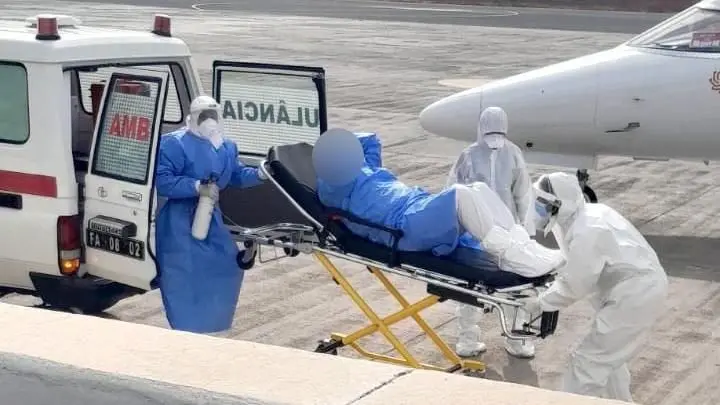 Brote de hantavirus: por qué los cruceros son lugares propicios para la propagación de enfermedades infecciosas