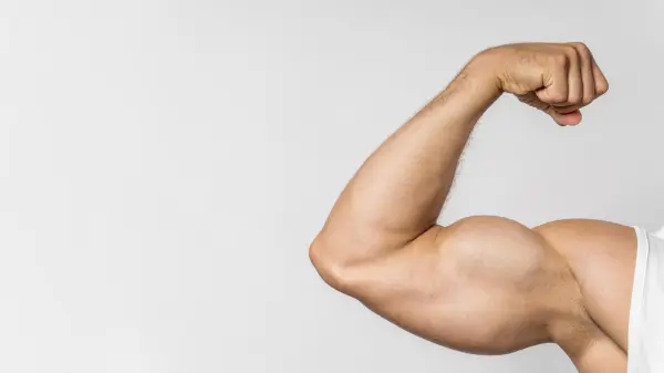 masa-muscular