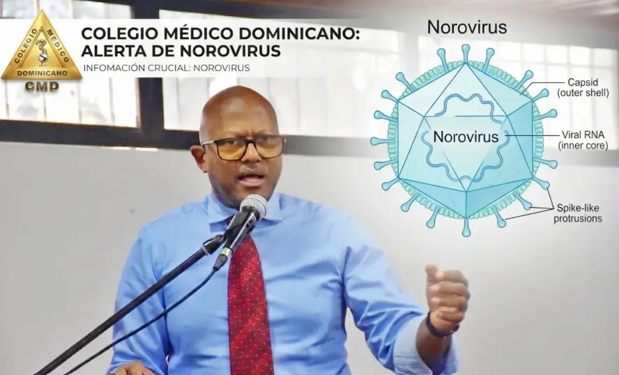 Colegio Médico llama a las autoridades a emitir vigilancia epidemiológica ante la detección de Norovirus en crucero