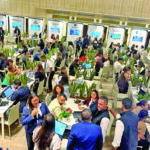 Los dominicanos en España hacen historia: Ya son más de 260 mil, baten récords de inversión y exportan millones a su tierra