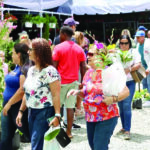 Medellín llega a Jarabacoa: El Festival de las Flores celebra 15 años con una invitada mundial y conciertos estelares