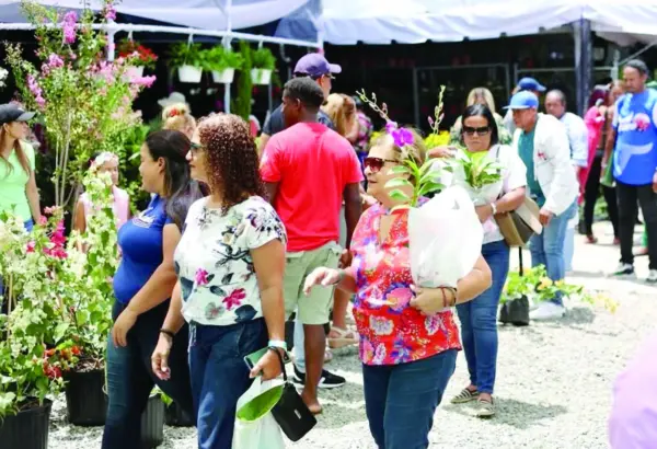 Esta consolidan a Jarabacoa como uno de los principales destinos turísticos de montaña.