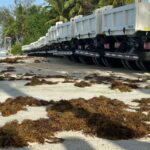 Alerta en las costas de RD: Científicos prevén la llegada de hasta 3 millones de toneladas de sargazo este año