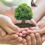 República Dominicana necesita un pacto ambiental urgente: sus ecosistemas están en deterioro crítico