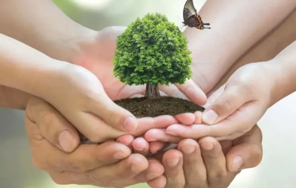 El pacto ambiental permitiría evaluar y definir políticas públicas que ayuden a superar las falencias del sector.