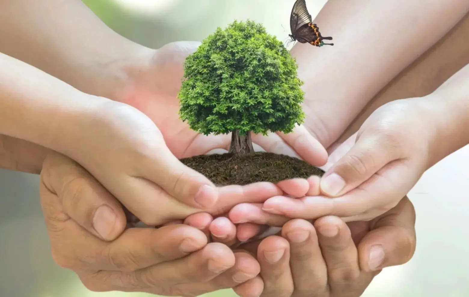 República Dominicana necesita un pacto ambiental urgente: sus ecosistemas están en deterioro crítico