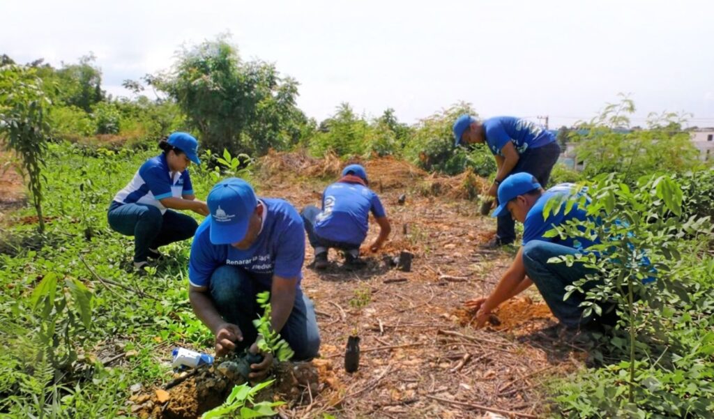 Remediación ambiental garantiza sostenibilidad de recursos naturales