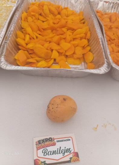 Más allá del Banilejo: los mangos de Haití, India y Estados Unidos que se venden en RD