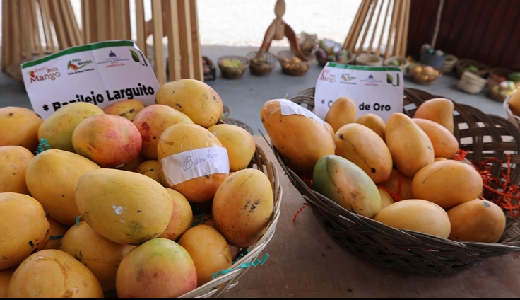 Más allá del Banilejo: los mangos de Haití, India y Estados Unidos que se venden en RD