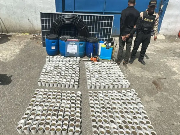 DNCD-COCAÍNA-
