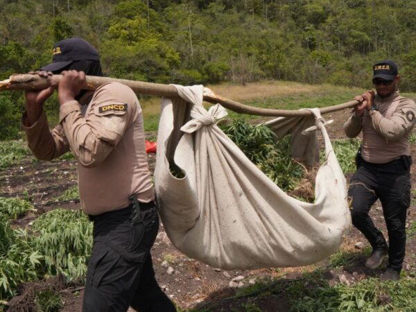 DNCD-MARIHUANA-OCOA-