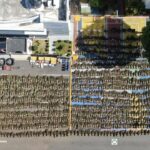 DNCD decomisa 15,000 plantas de marihuana en una finca en San José de Ocoa