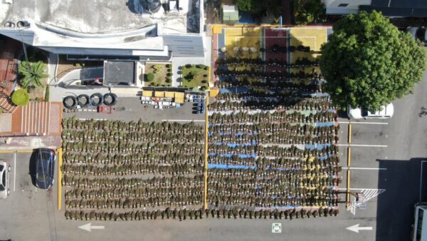 Desmantelan 15,000 plantas de marihuana en San José de Ocoa