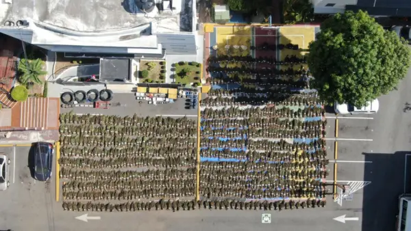 Desmantelan 15,000 plantas de marihuana en San José de Ocoa