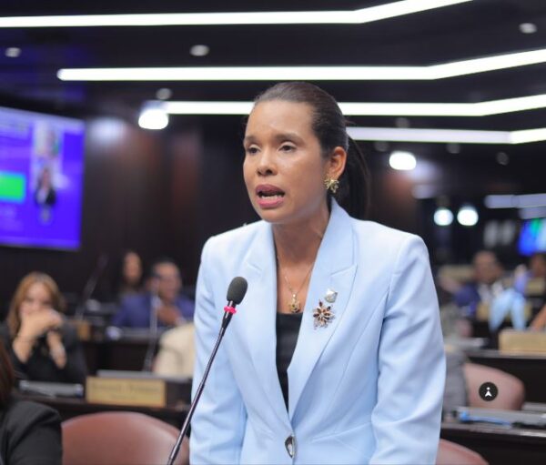 Diputada Patricia Núñez somete proyecto de ley que busca regular venta cigarrillos electrónicos