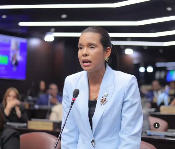 Diputada Patricia Núñez somete proyecto de ley que busca regular venta cigarrillos electrónicos