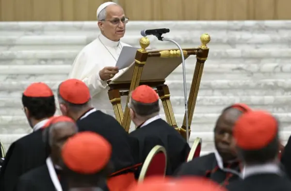 El papa León XIV se dirige a los cardenales en el Consistorio que se celebra en el Vaticano. EFE/EPA/VATICAN MEDIA/Simone Risoluti