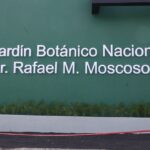 Renovación y modernización: la nueva etapa del Jardín Botánico Nacional