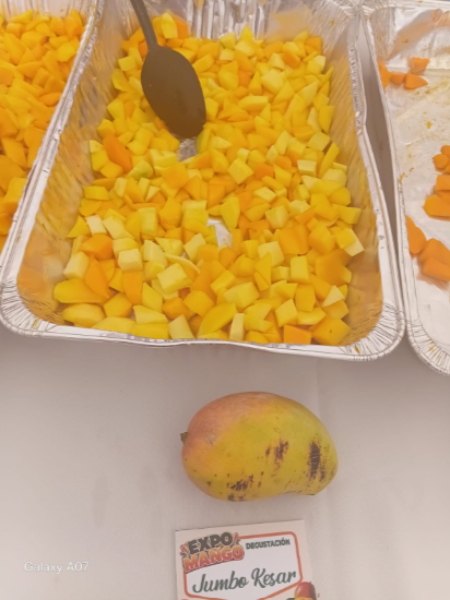 Más allá del Banilejo: los mangos de Haití, India y Estados Unidos que se venden en RD