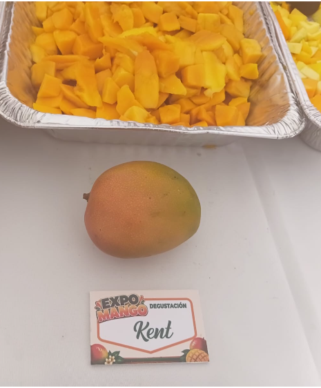 Más allá del Banilejo: los mangos de Haití, India y Estados Unidos que se venden en RD