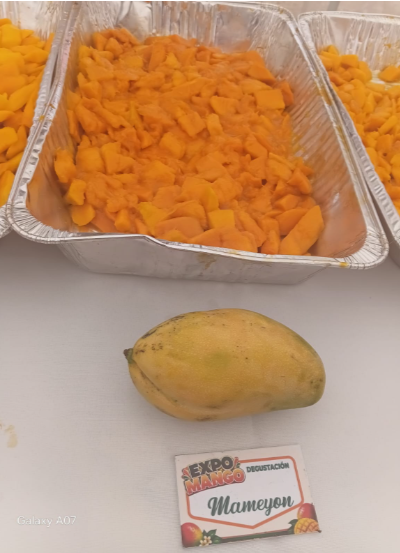Más allá del Banilejo: los mangos de Haití, India y Estados Unidos que se venden en RD
