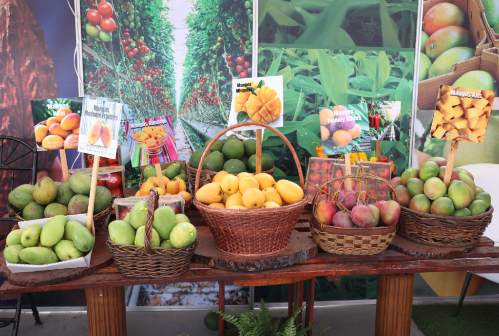 Expo Mango: feria que impulsa exportaciones y dinamiza la economía del sur