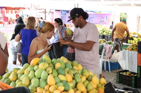 Mango-Bani9