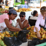 Gobierno espera reactivar en cuatro meses las exportaciones de mango hacia Estados Unidos