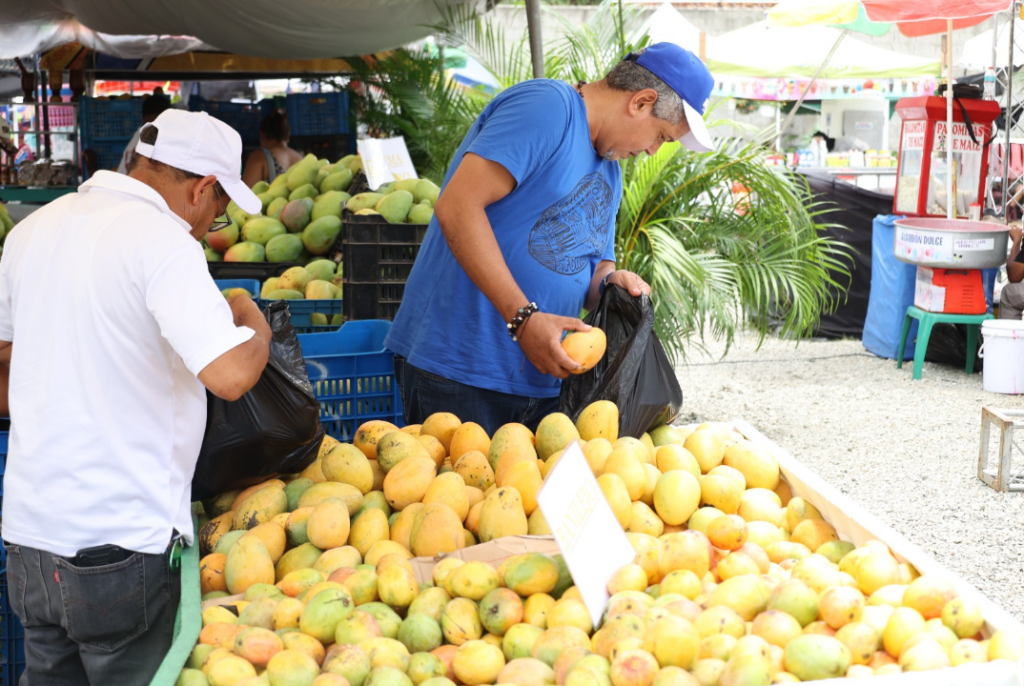 Más allá del Banilejo: los mangos de Haití, India y Estados Unidos que se venden en RD