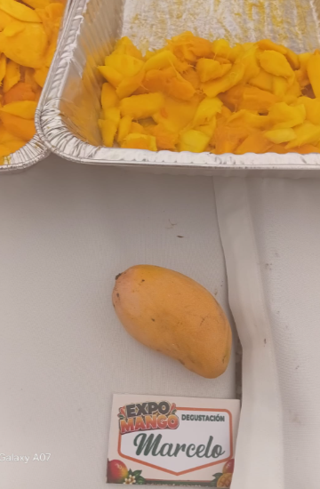 Más allá del Banilejo: los mangos de Haití, India y Estados Unidos que se venden en RD
