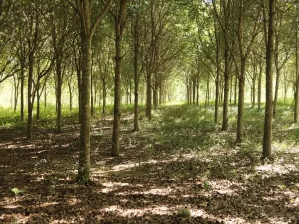 Medio Ambiente