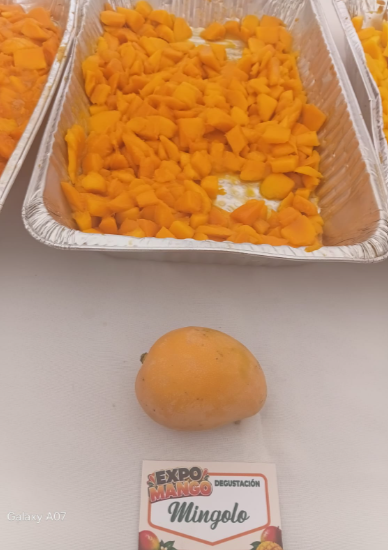 Más allá del Banilejo: los mangos de Haití, India y Estados Unidos que se venden en RD
