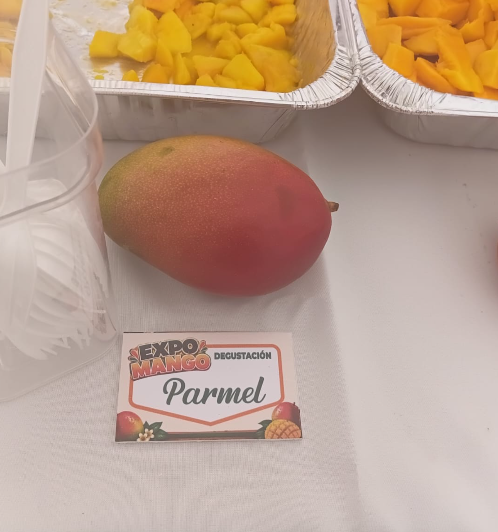 Más allá del Banilejo: los mangos de Haití, India y Estados Unidos que se venden en RD