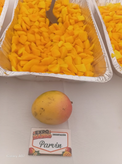 Más allá del Banilejo: los mangos de Haití, India y Estados Unidos que se venden en RD
