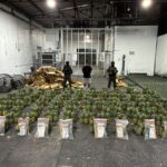 Ocupan 121 láminas de presunta cocaína ocultas en carga de piñas en el AILA