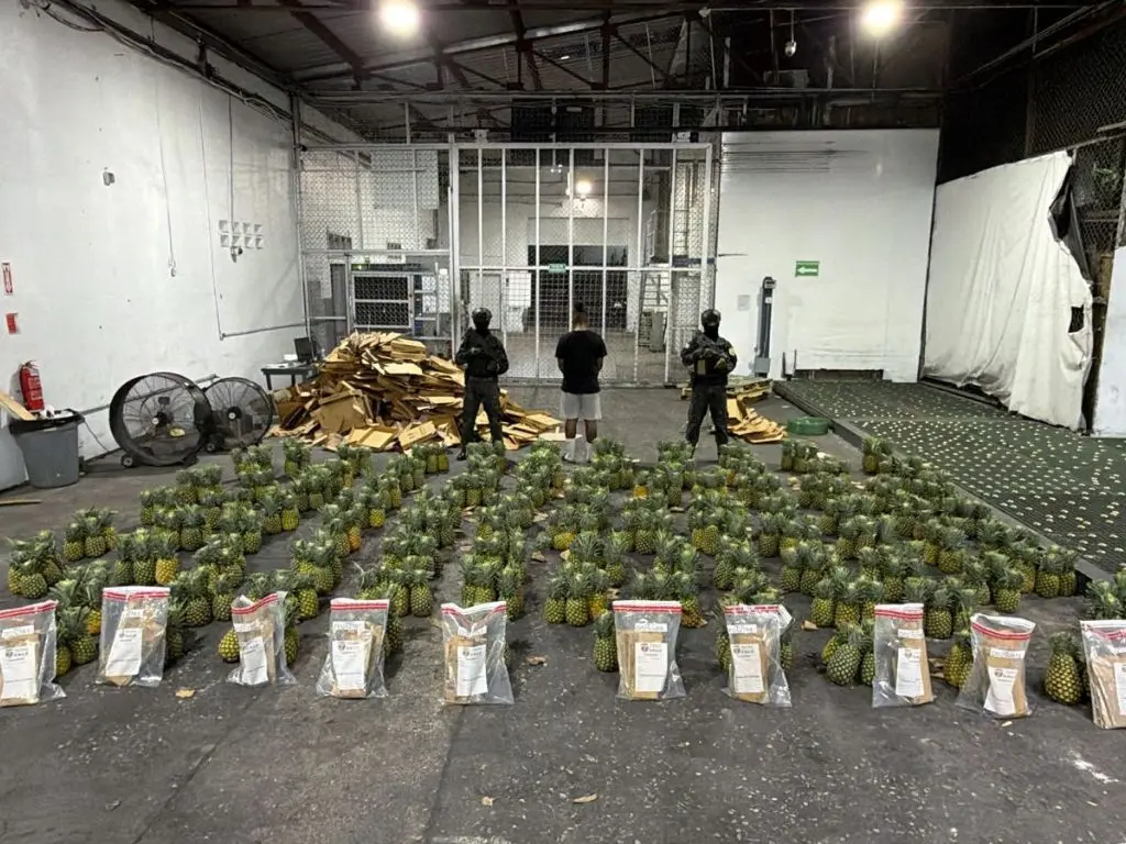 Ocupan 121 láminas de presunta cocaína ocultas en carga de piñas en el AILA