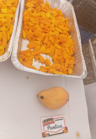 Más allá del Banilejo: los mangos de Haití, India y Estados Unidos que se venden en RD