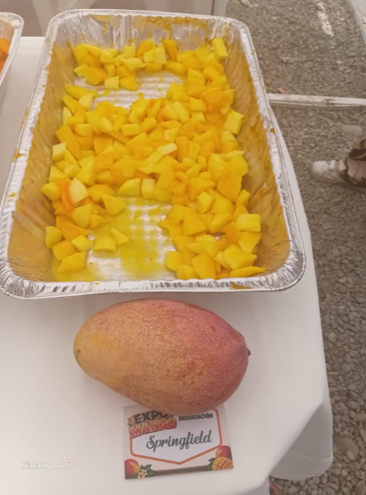 Más allá del Banilejo: los mangos de Haití, India y Estados Unidos que se venden en RD
