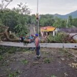 Ventarrón deja decenas de casas sin techo y colapsa el servicio eléctrico en Dajabón