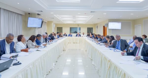Comisión Bicameral proyecto Pro Crecimiento Económico