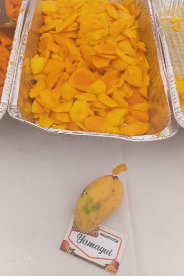 Más allá del Banilejo: los mangos de Haití, India y Estados Unidos que se venden en RD
