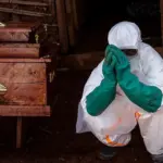 Tres vacunas contra el Ébola en desarrollo en medio de crecientes temores por un nuevo brote