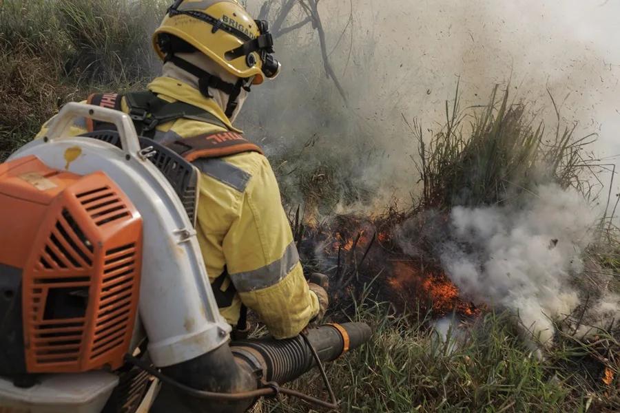 Los incendios en la Amazonía brasileña aumentan un 115 % en mayo de 2026