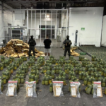Cocaína escondida en piñas tenía como destino Afganistán